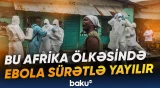 Virusdan ölənlərin sayı kəskin artıb | Səbəbləri araşdırılır