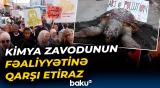 Tunisdə sakinlər ayağa qalxdı | Kimya zavoduna qarşı etiraz aksiyası