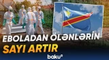 Konqoda virusun qurbanları artır | Hökumət həyəcan təbili çalır