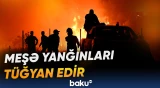 Yunanıstanda meşə yanğınları tüğyan edir