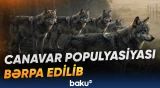 Fermerlərə mal-qaranın qorunması barədə xəbərdarlıq olunub