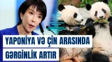 Yaponiya siyasi gərginliyə görə pandasız qala bilər