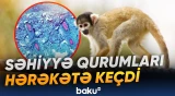 Honkonqda meymunçiçəyinə yeni yoluxma halları aşkarlanıb