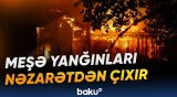 Fransada meşə yanğınlarının qarşısını almaq çətinləşir