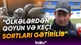 Laçının sənaye müəssisələri | Yaxın gələcək üçün hansı planlar nəzərdə tutulub? - Baku TV