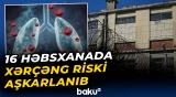 Böyük Britaniyada araşdırmalar başladı