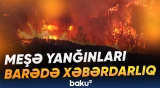 Bu il meşə yanğınları artacaq?