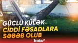 İsmayıllıda güclü külək irigövdəli ağacları aşırıb