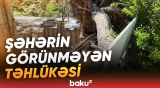 Qurumuş bir ağac necə faciəyə səbəb ola bilər?