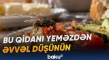 Milçəklər qidaya hansı təhlükəli mikrobları daşıya bilər?
