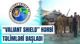ABŞ-nin rəhbərliyi altında keçirilən genişmiqyaslı "Valiant Shield" hərbi təlimləri 