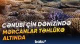 Bərpa üçün 262 layihəyə 3,14 milyard dollardan çox vəsait yatırılıb