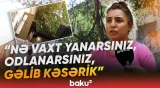 "Bizim həyətimizdə təhlükə çoxdur" | Evin damına ağac aşıb, günlərdir götürən yoxdur - Baku TV