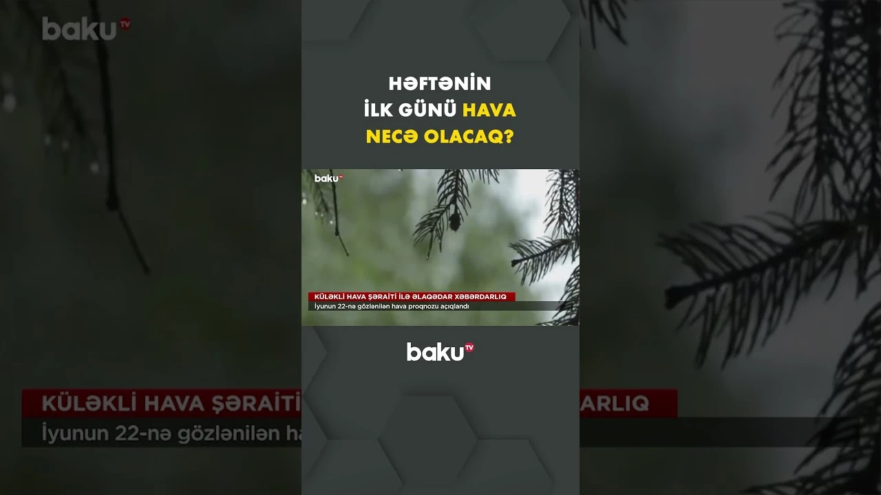 Həftənin ilk gününün havası | Qurumdan açıqlama - Baku TV