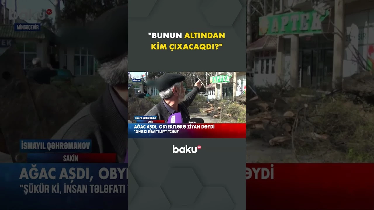 "İnsan olsa idi..." | Ağac aşdı, obyektlərə ziyan dəydi - Baku TV