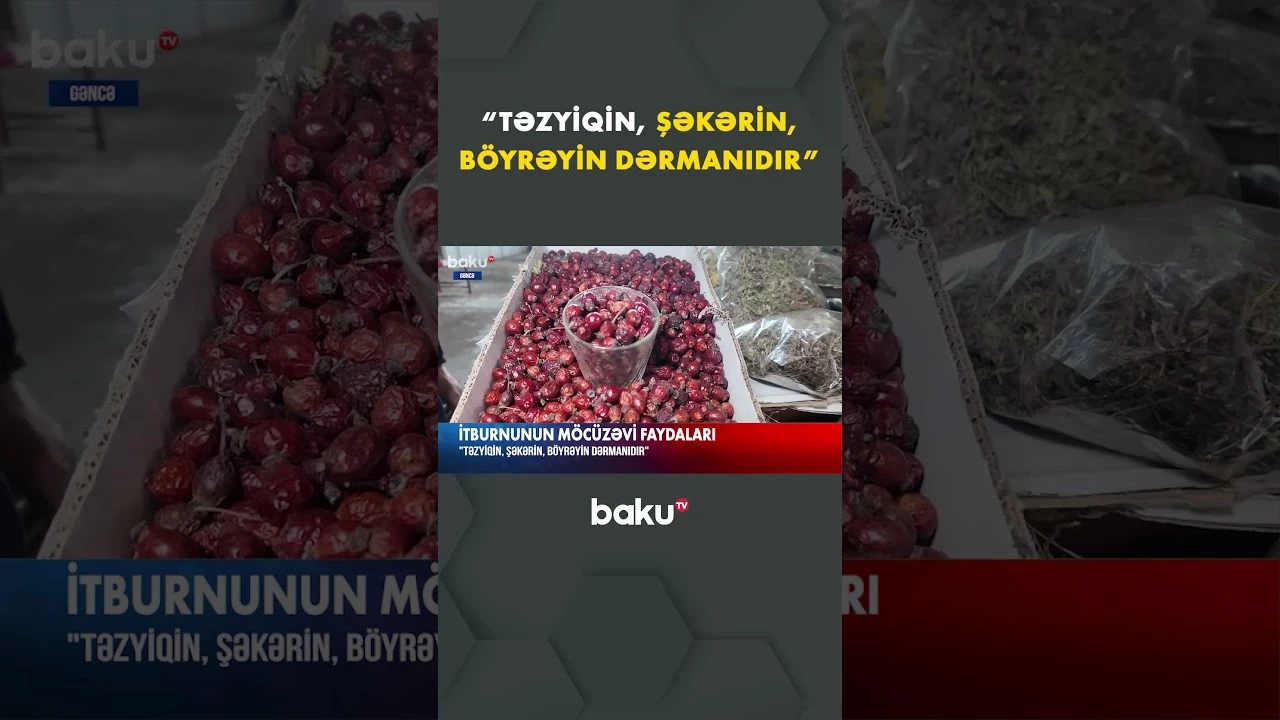 Yabanı bitkinin inanılmaz faydaları - Baku TV