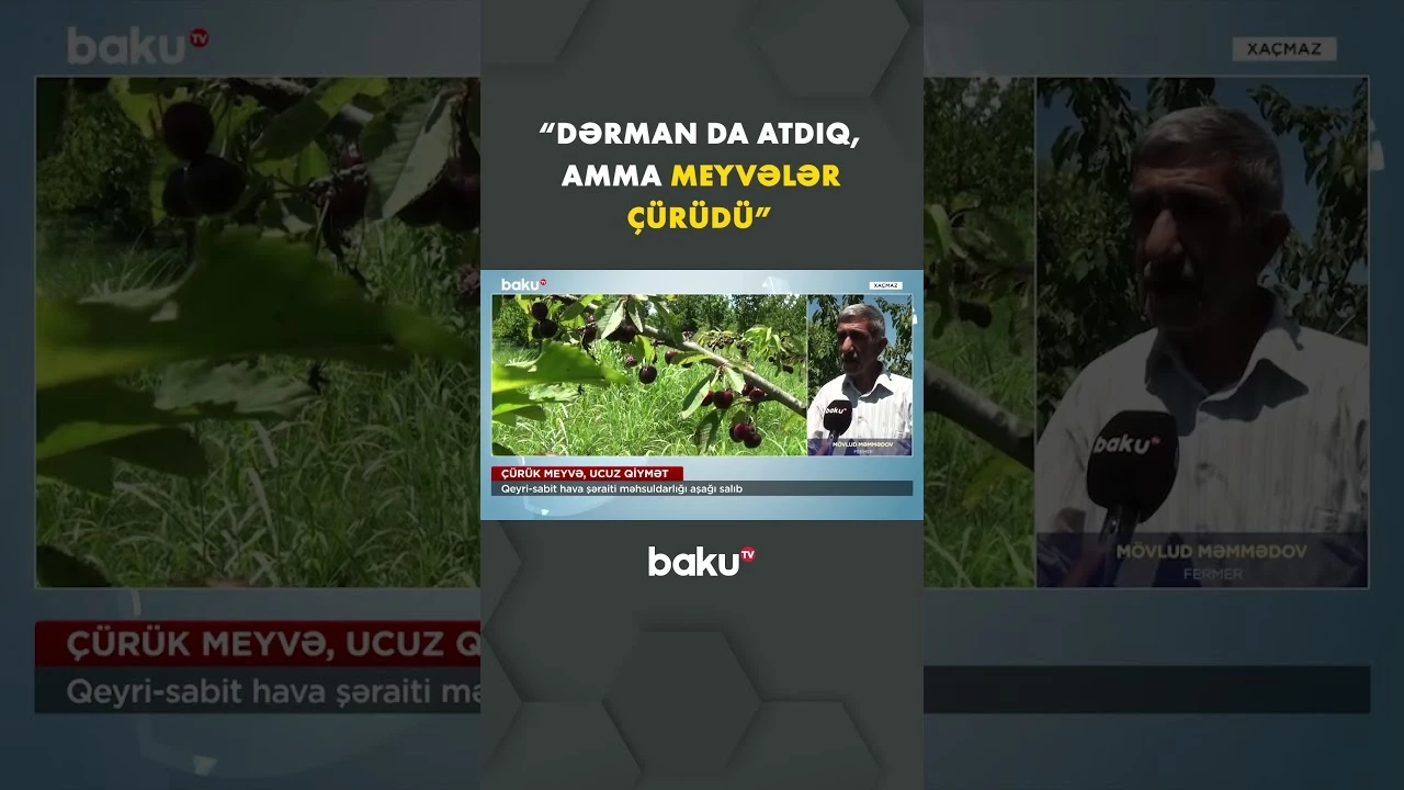 Fermerlərin bu il məhsulları görün nə günə qaldı - Baku TV