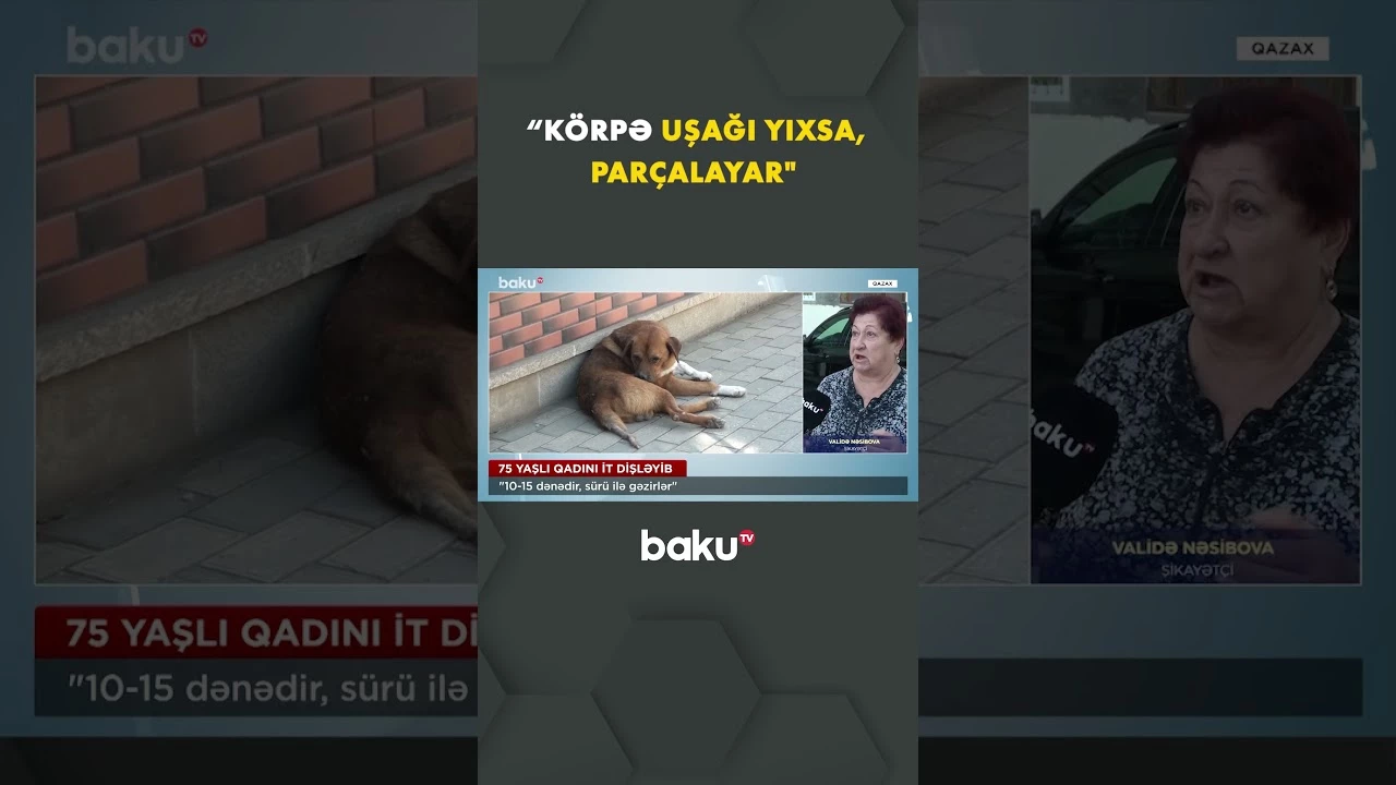 “Körpə uşağı yıxsa, parçalayar” - Baku TV