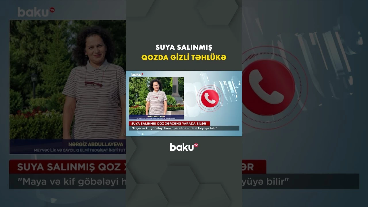 Yaş qoz görün hansı xəstəlikləri yaradır - Baku TV