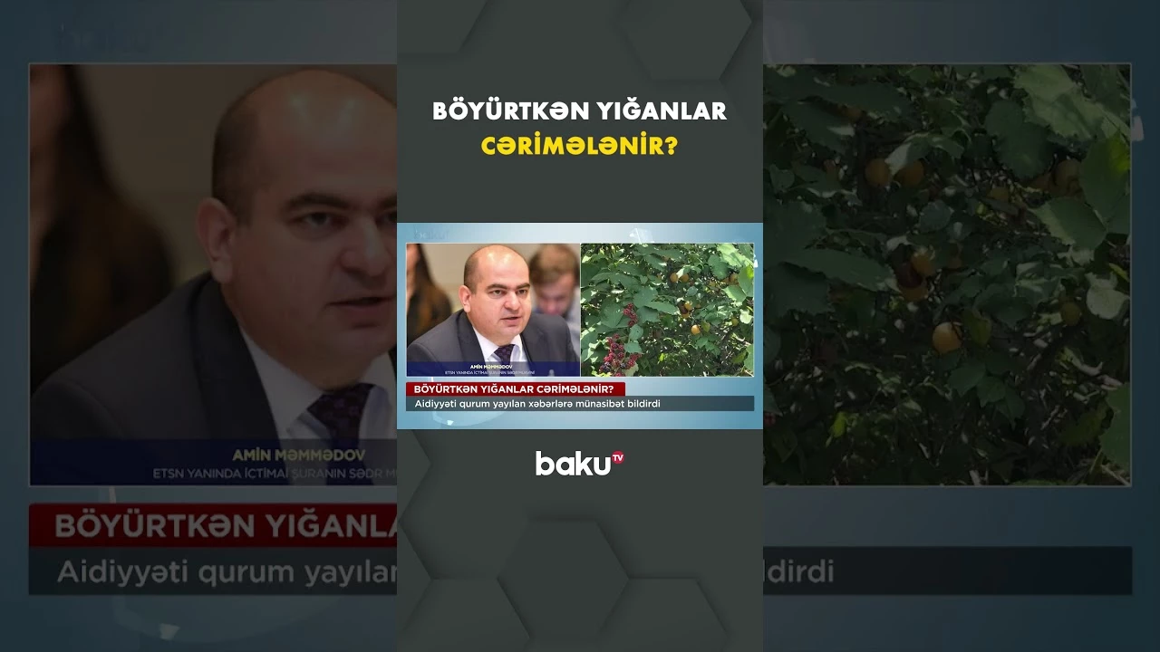 Qurum yayılan xəbərlərə necə reaksiya verdi - Baku TV