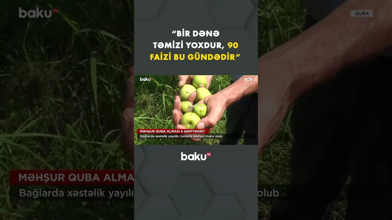 Tonlarla məhsul məhv oldu - Baku TV