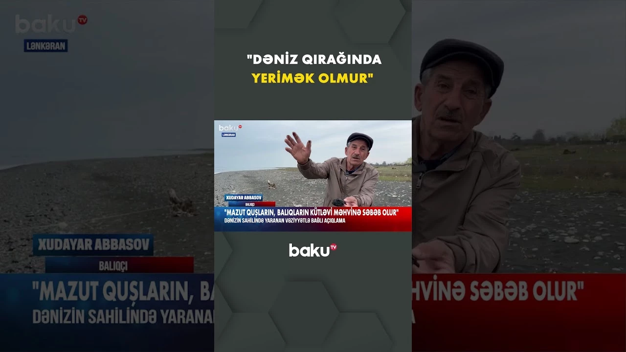 Lənkəran sahilində narahatedici mənzərə: Xəzərdə mazut izləri - Baku TV