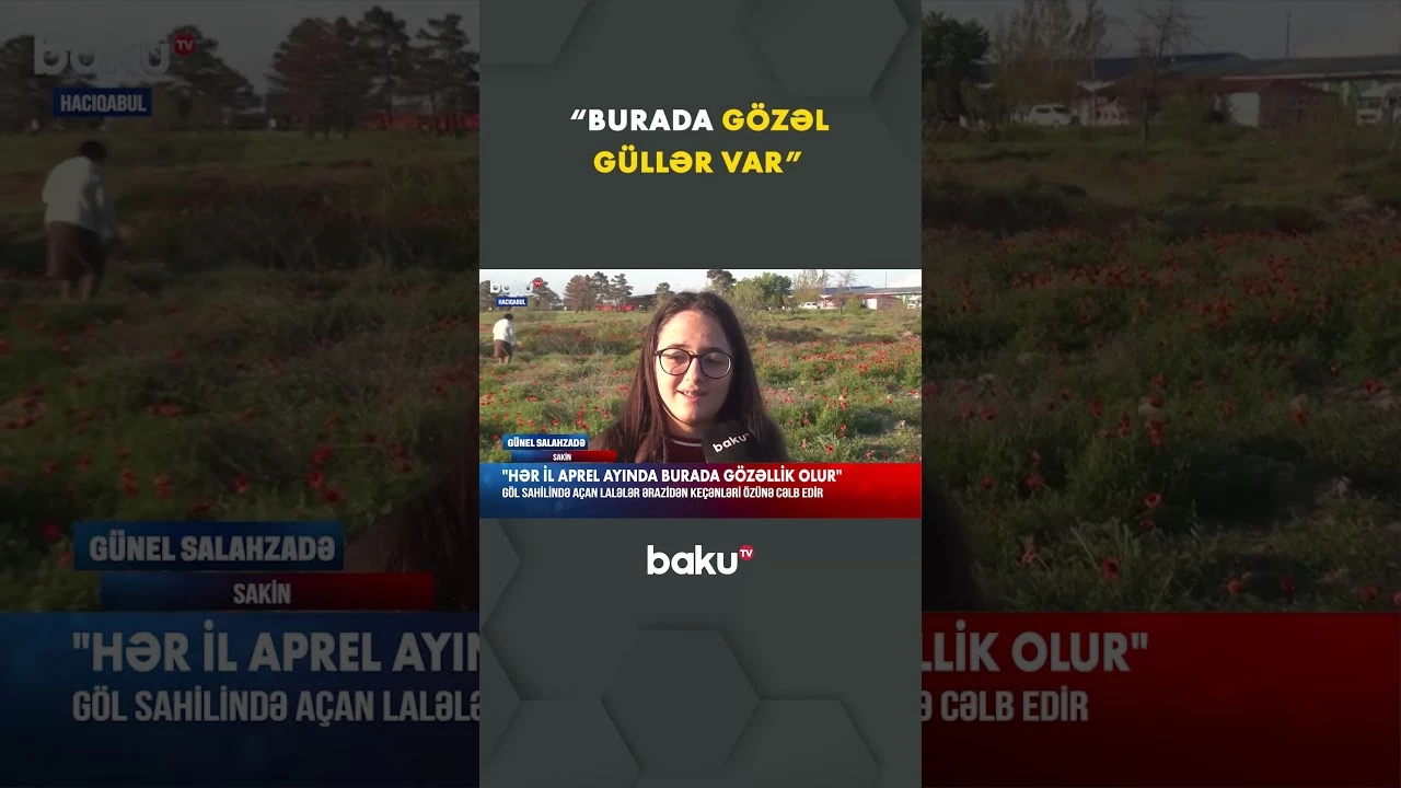 Sakin lalələr olan ərazidən məmnun qaldığını bildirdi - Baku TV