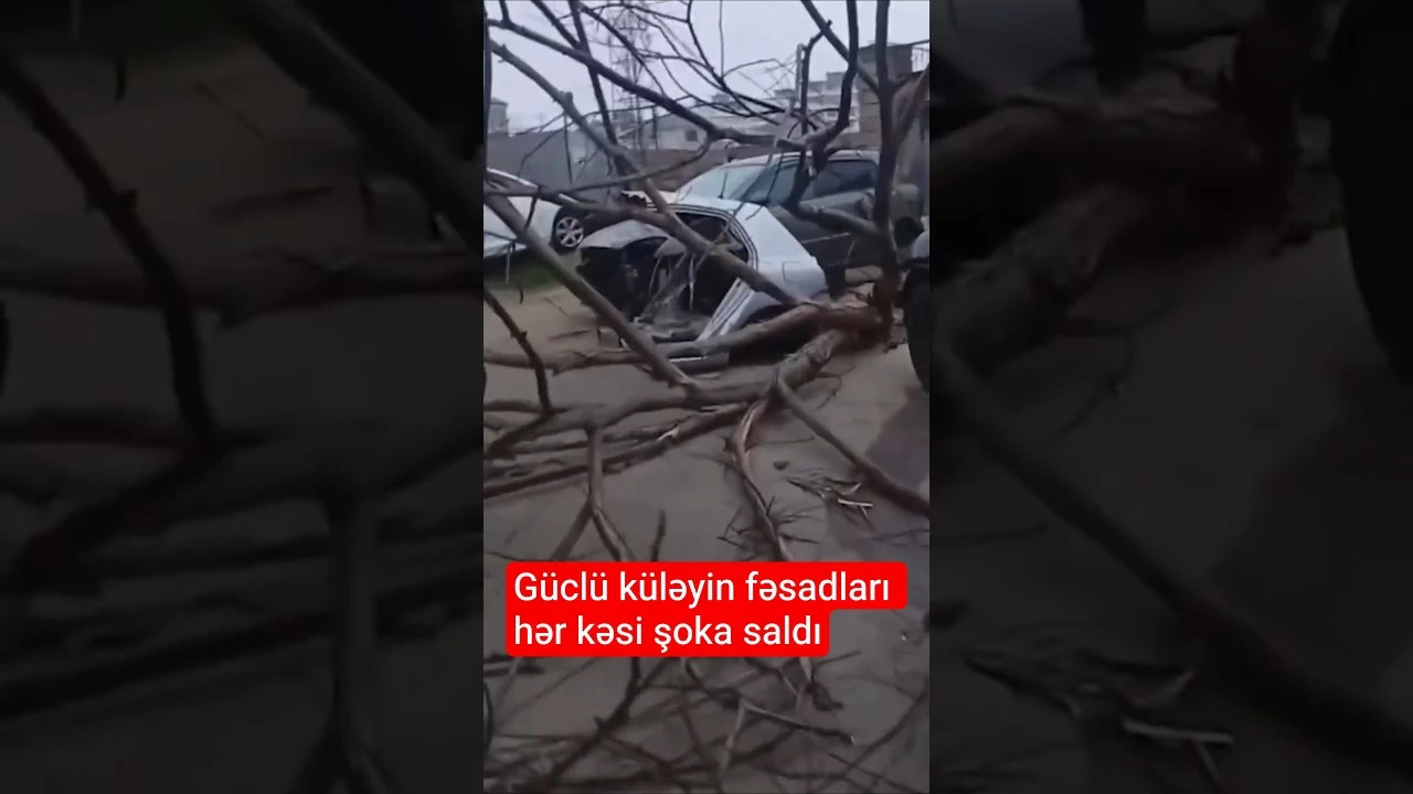 Güclü küləyin dəhşətli fəsadları - Baku TV