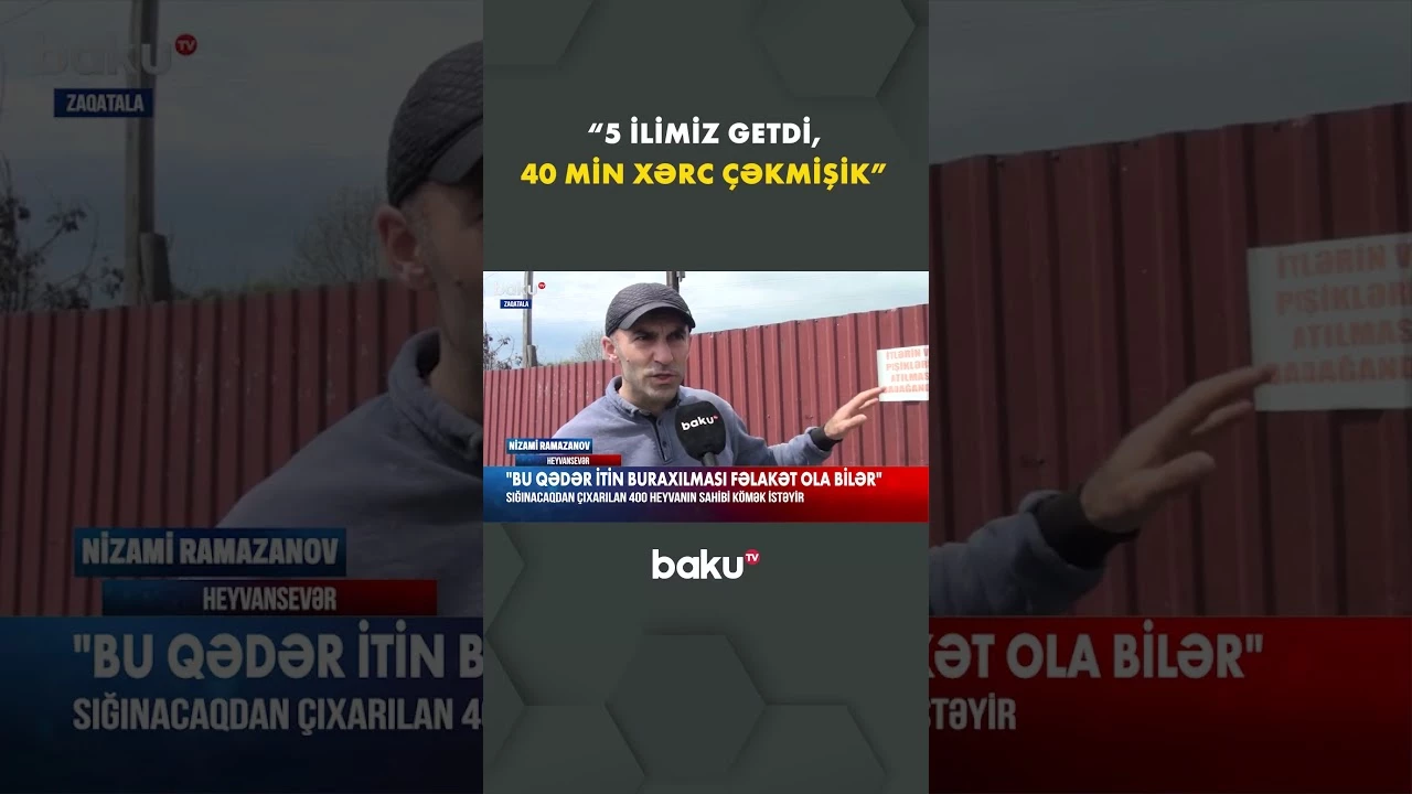 Zaqatala sakininin istəyi yerinə yetiriləcəkmi? - Baku TV