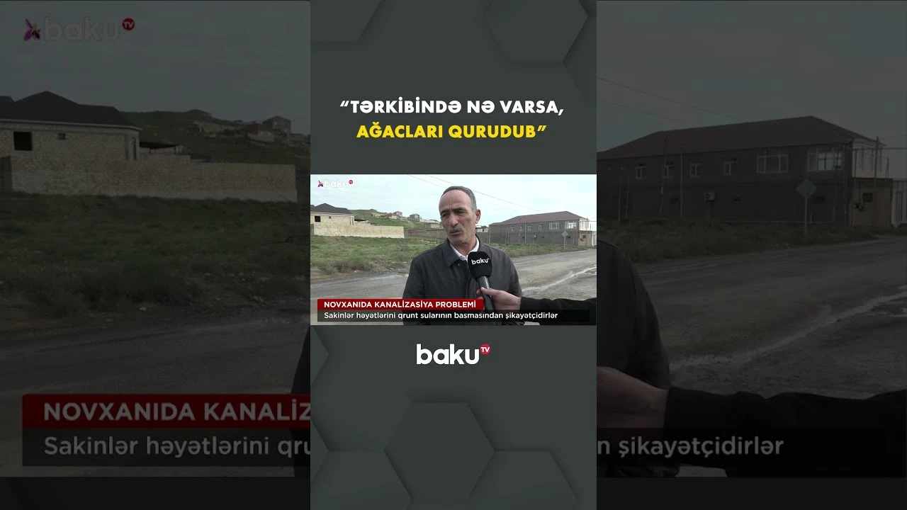 Sakinlər həyətlərini qrunt sularının basmasından şikayətçidirlər - Baku TV