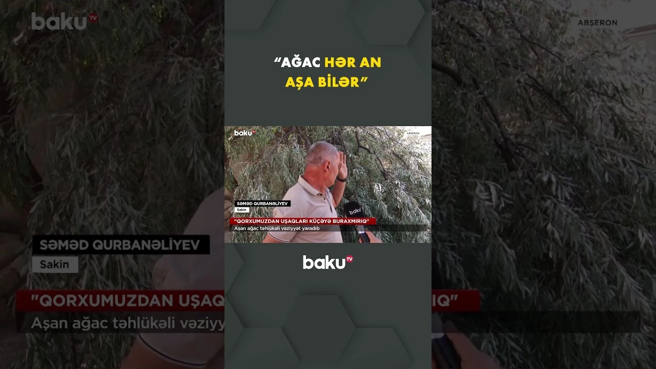 Aşan ağac hərəkətə təhlükə yaradıb - Baku TV