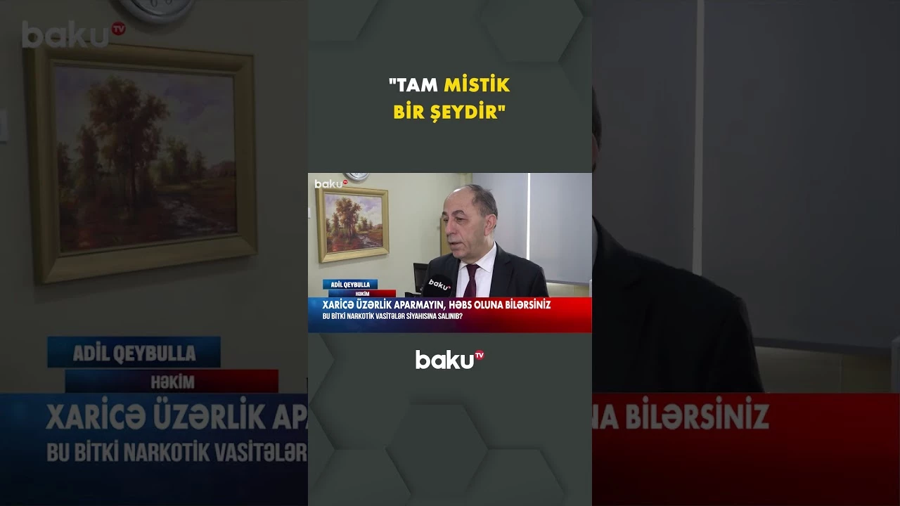 Üzərlik bitkisi ilə bağlı vacib xəbərdarlıq - Baku TV