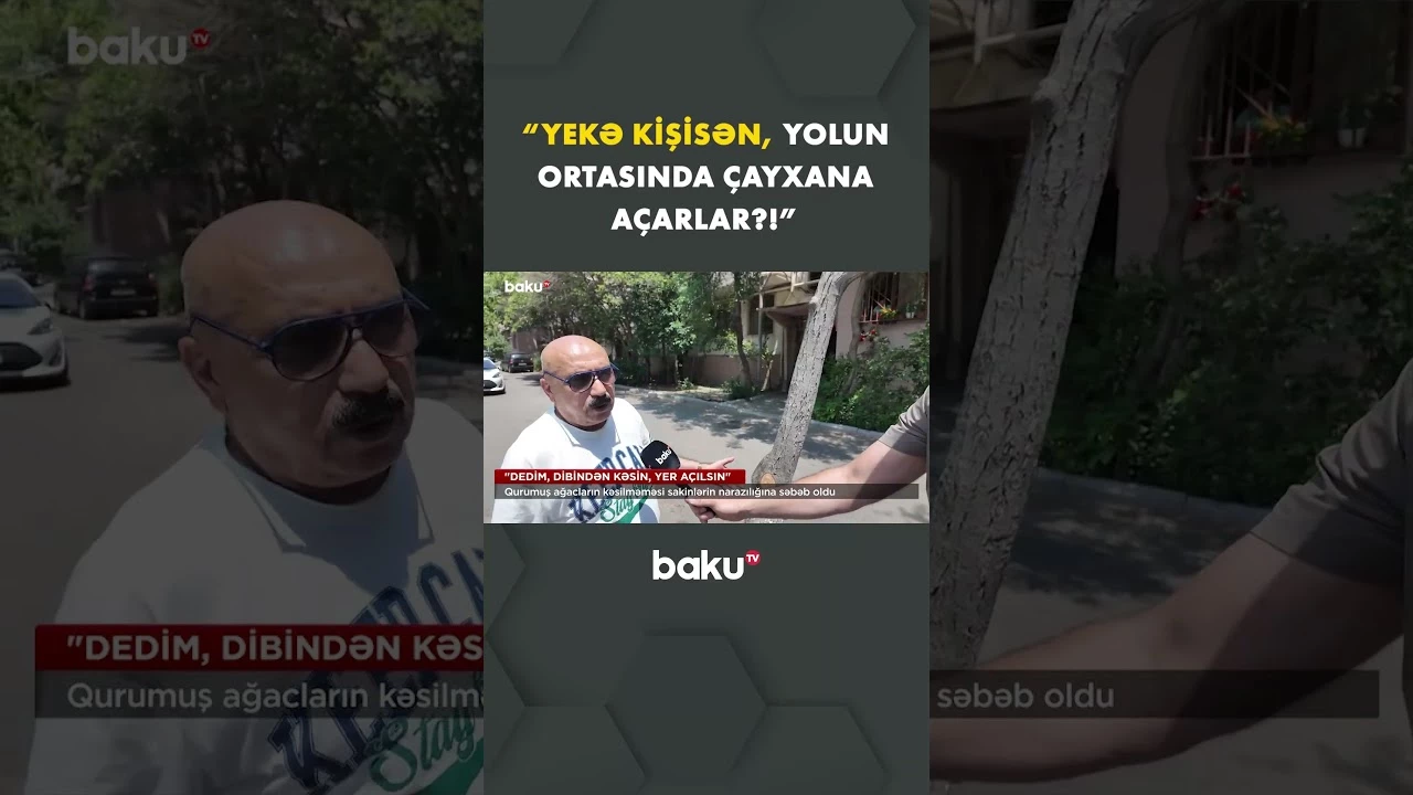 Bu ağaclar niyə kəsilmir? - Baku TV