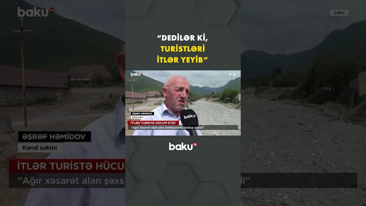 İtlərin hücumuna məruz qalan turist ağır yaralandı - Baku TV