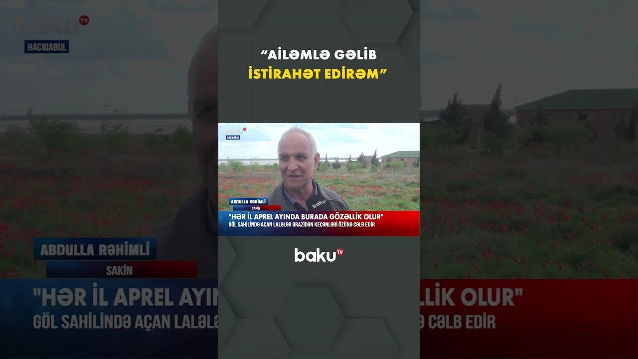 Hacıqabulda lalələrlə örtülü ərazi sakinlərin sevimli gəzinti yerinə çevrilib - Baku TV