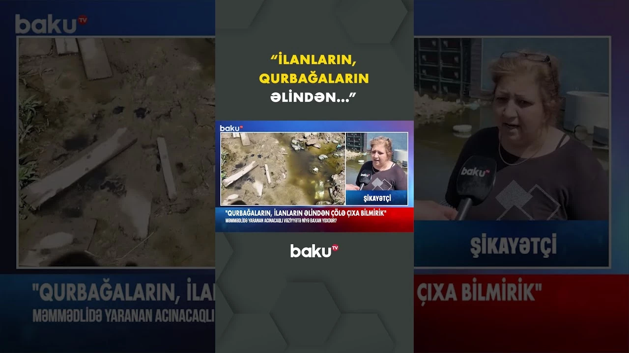 Məmmədlidə vəziyyət niyə nəzarətsiz qalıb? - Baku TV