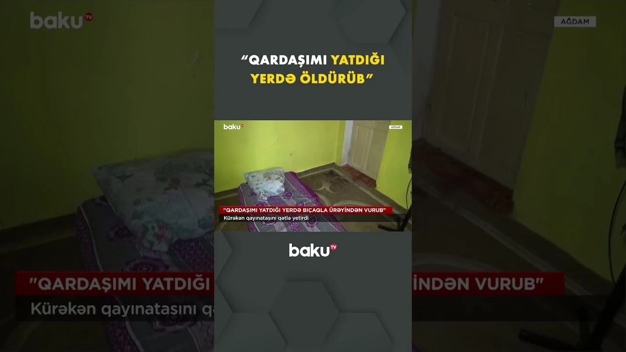 Kürəkəndən qandonduran əməl - Baku TV