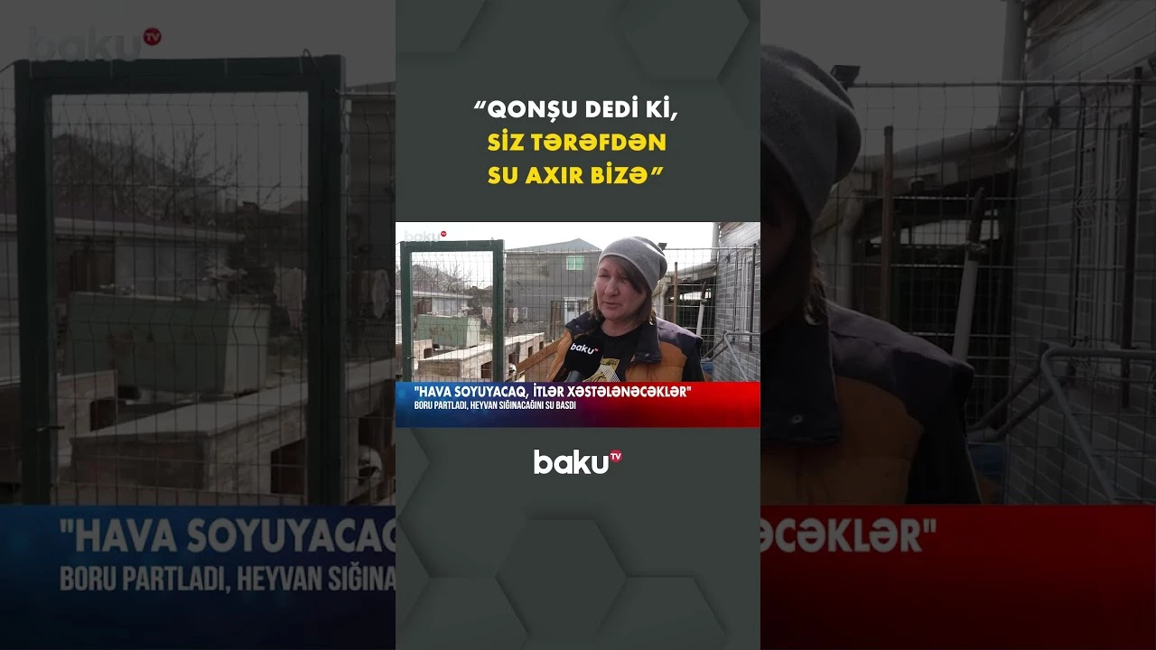 Heyvan sığınacağında kritik vəziyyət - Baku TV
