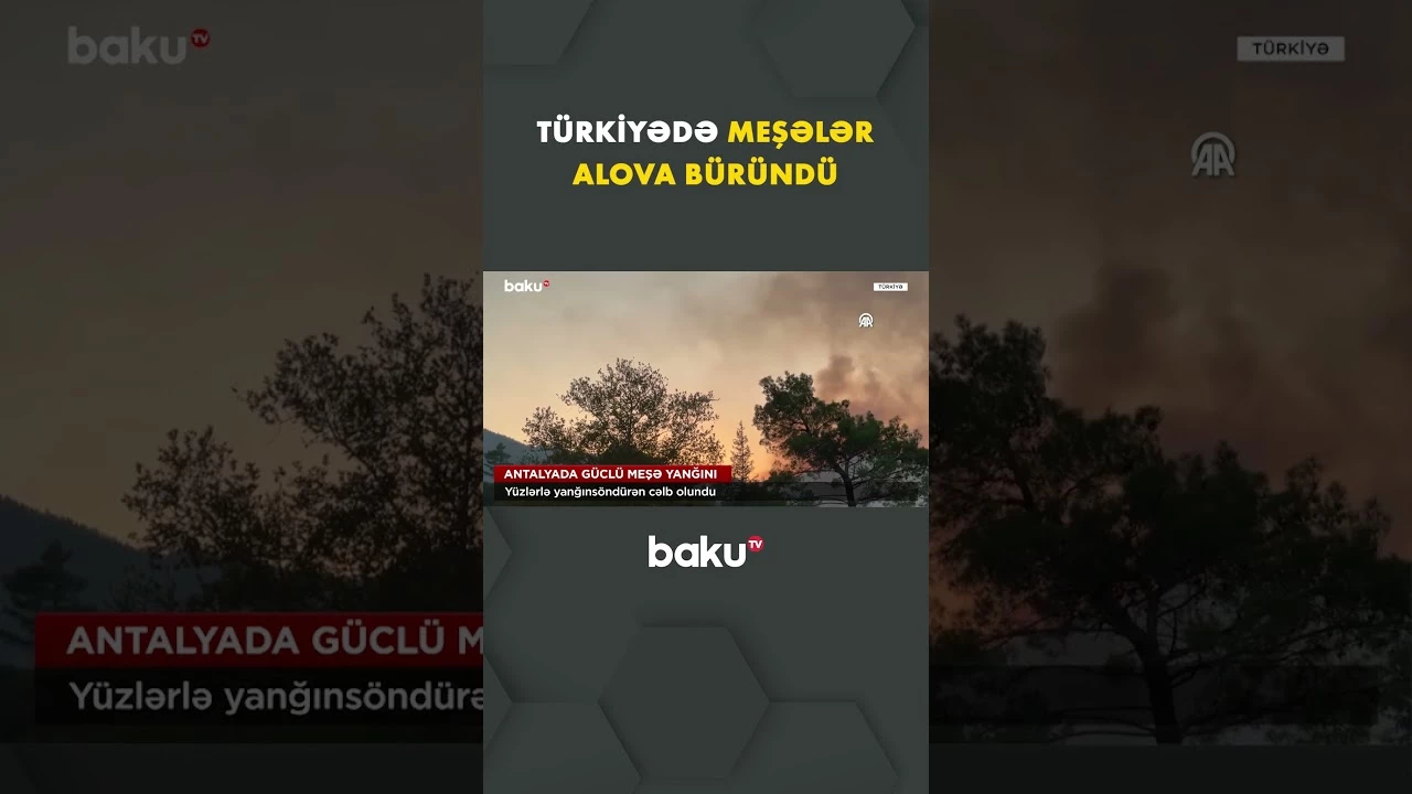 Antalyada meşə yanğınına qarşı geniş əməliyyat başladı - Baku TV