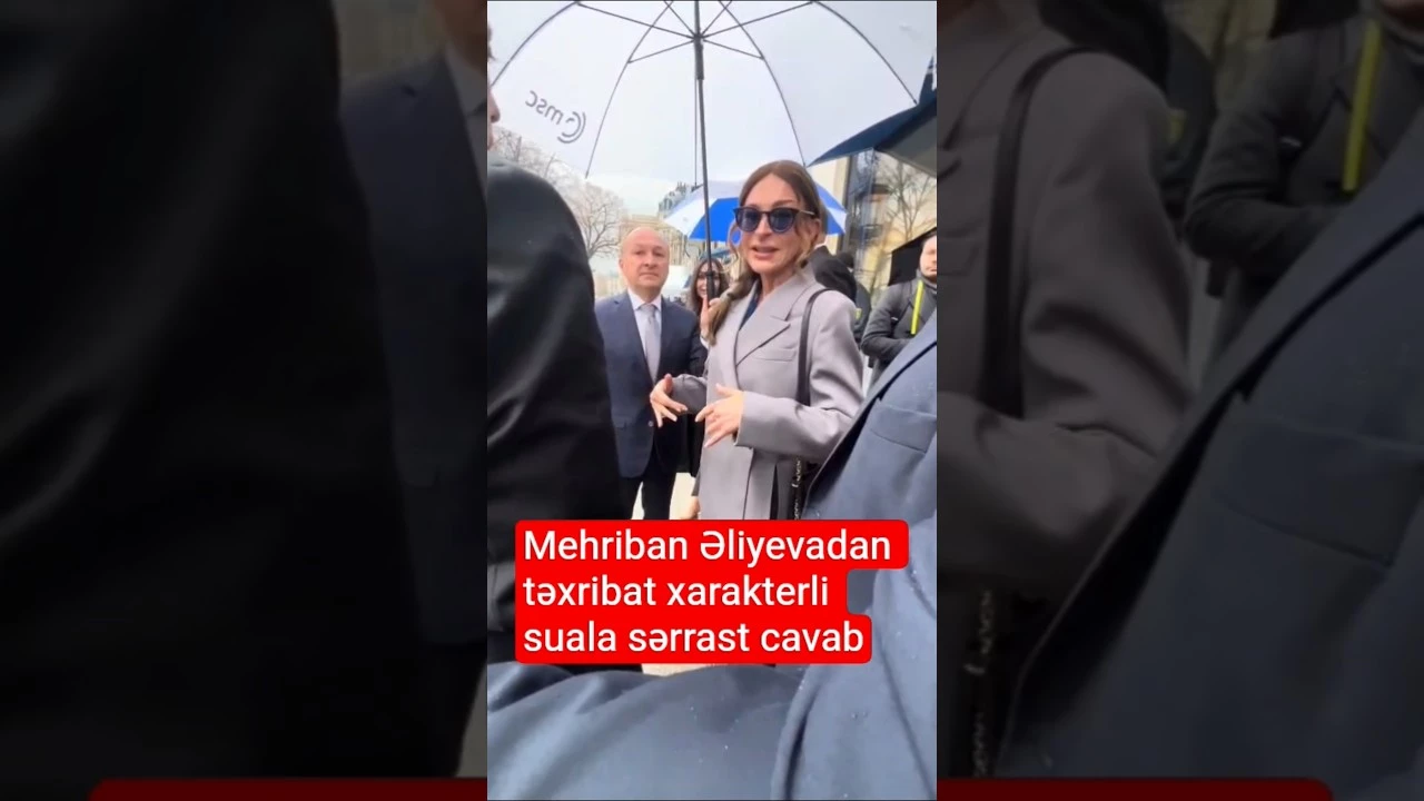 "Siz qadın paltarında səfirlikdə gizlənən insansınız?" - Baku TV