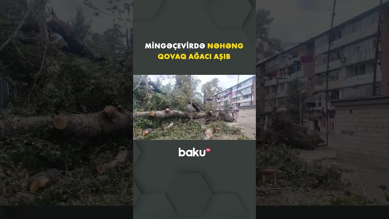 Hadisə şəhərin 20 Yanvar küçəsində qeydə alınıb - Baku TV