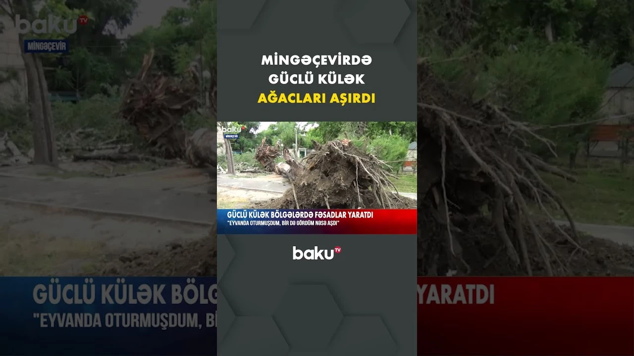 Bölgələrdə küləkli hava şəraiti fəsadlarla nəticələndi - Baku TV