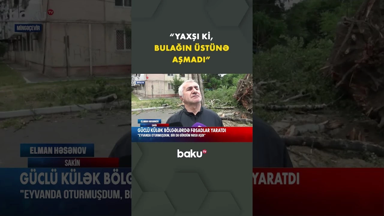 Bölgələrdə küləkli hava şəraiti fəsadlarla nəticələnib - Baku TV