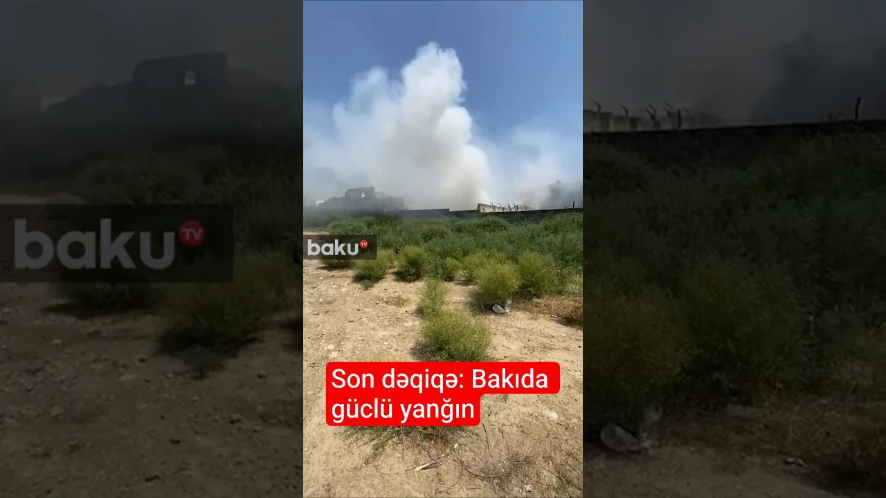 Babək prospektində 328 nömrəli məktəbin yanında boş ərazi yanıb - Baku TV