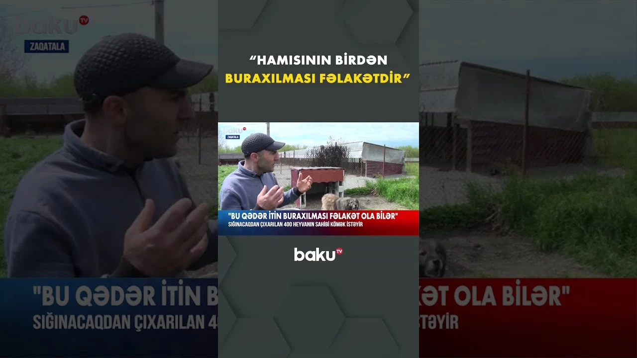 400 heyvan saxlayan Nizami çətin durumda - Baku TV