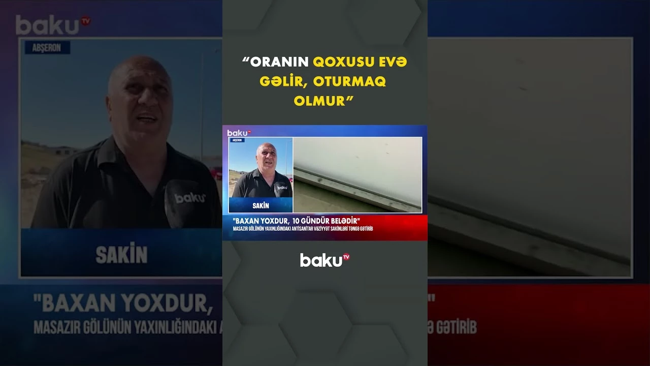 Qəribə həşaratların peyda olduğu ərazi - Baku TV