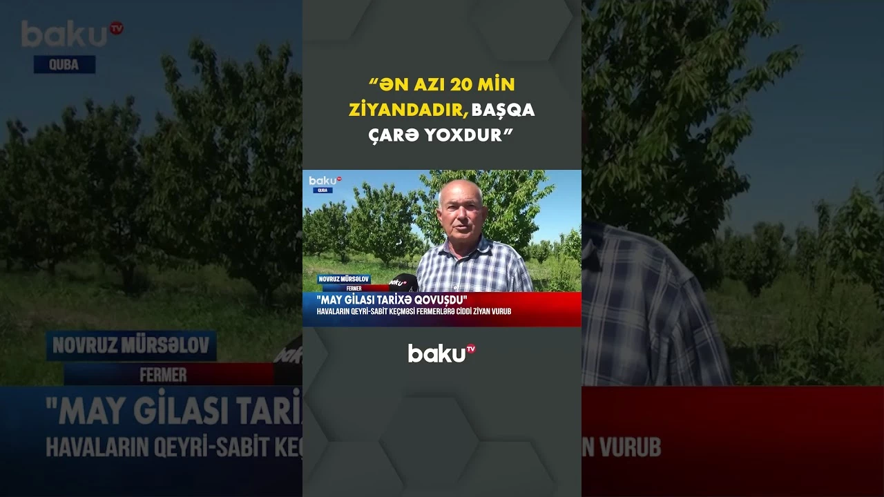 Qubalı fermerlər imdad etdi - Baku TV