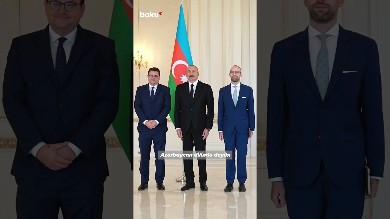 Prezident İlham Əliyev Avstriyanın Azərbaycanda yeni təyin olunmuş səfirini qəbul edib - Baku TV