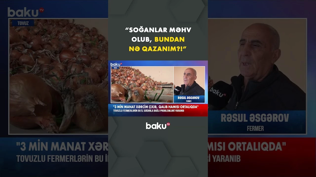 Tovuzlu fermerlər xarab olan soğanlardan gileyləndi - Baku TV