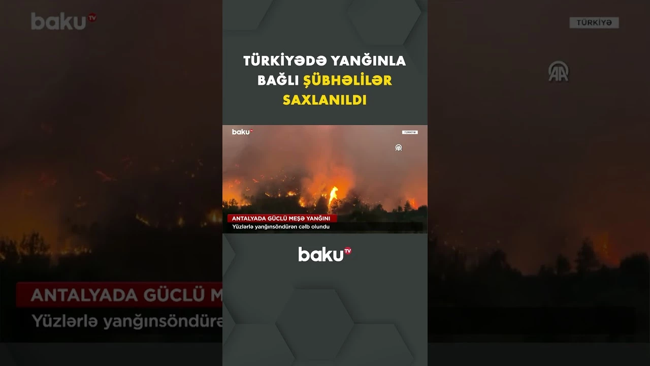 Yanğınsöndürənlər Antalyadakı güclü alovlarla mübarizəni davam etdirir - Baku TV